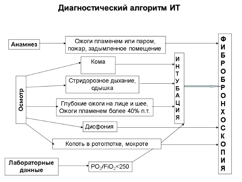 Диагностический алгоритм ИТ Анамнез Осмотр Лабораторные данные Ожоги пламенем или паром, пожар, задымленное помещение